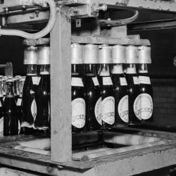 Gammelt bilde av en tappemaskin på bryggeri, som fyller 24 halvflasker og plasserer dem i en ølkasse