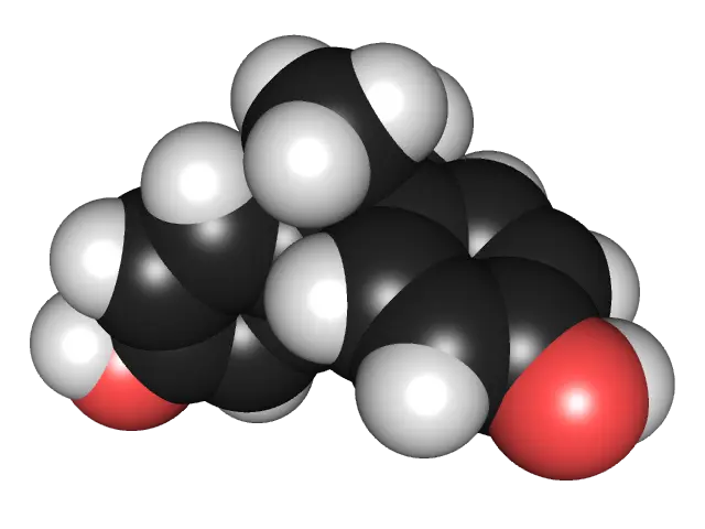 Modell av molekylet BPA, med sort, grå og røde kuler
